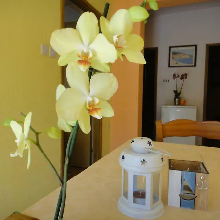 Apartment Vera *