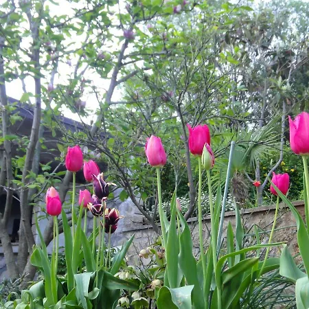Apartment Vera Moscenicka Draga